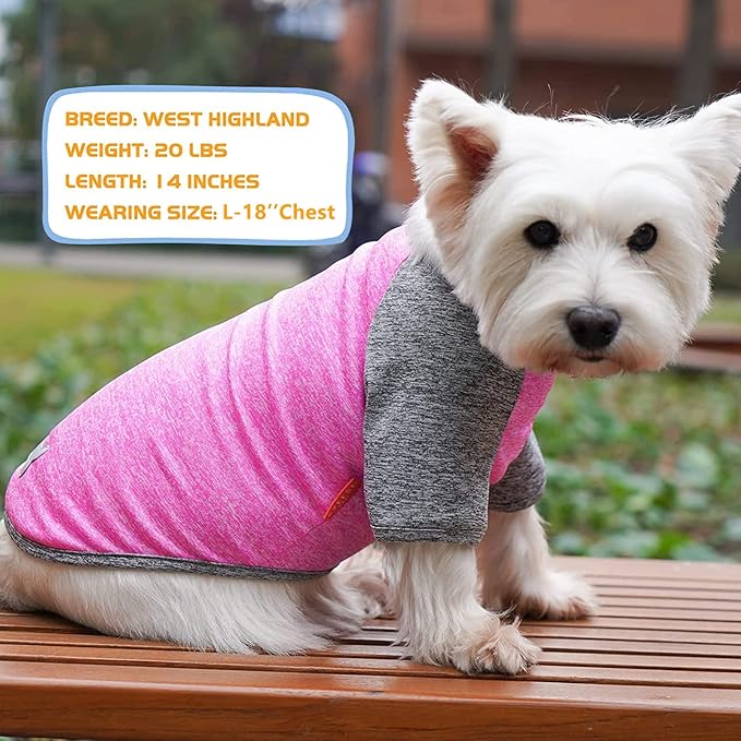 KYEESE Dog Shirts Quick Dry 2 Pack Breathable Lightweight Stretchy Dog T-Shirt with Reflective Label Raglan Sleeve Pet Apparel for Medium Dogs