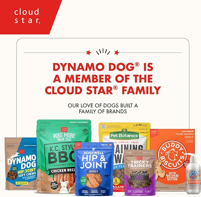 Cloud Star Dynamo Dog Skin & Coat Soft Chews Grain Free Dog Treats, Salmon, 14 oz. Pouch