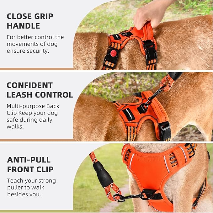 No Pull Dog Harness with A Free Heavy Duty 5ft Dog Leash, Adjustable Soft Padded Dog Vest, Reflective No-Choke Pet Oxford Vest with Easy Control Handle for Dogs(Orange, Medium)