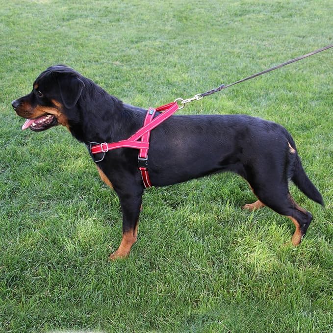 Max and Neo Passport Reflective Dog Harness - We Donate a Harness to a Dog Rescue for Every Harness Sold (Large (23"-30" Chest Girth), Orange)