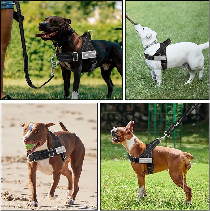 SlowTon No Pull Dog Harness - Heavy Duty Dog Harness and Leash Set for Medium Large Dogs, Reflective Tactical Harness with Soft Padded and Front Clip for Easy Walk and Training (Black XL)