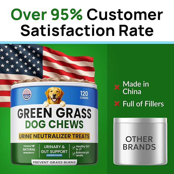 Green Grass Dog Chews w/Probiotics - Prevent Urine Burning Grass - Dog Pee Grass Spot Saver - Dog Urine Neutralizer for Lawn Treats, UT & Gut Health for Dogs, Lawn Burn from Dog Urine
