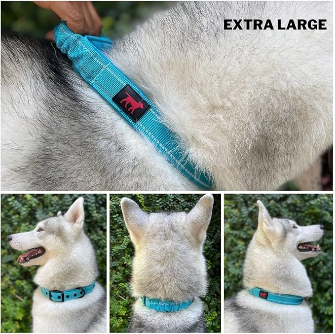 Tuff Pupper Heavy Duty Dog Collar with Handle | Ballistic Nylon Heavy Duty Collar | Padded Reflective Dog Collar with Adjustable Stainless Steel Hardware | Convenient Sizing for All Breeds