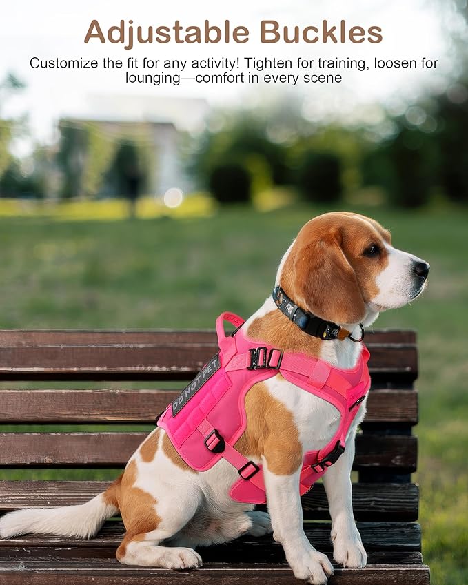 Tactical Dog Harness - PETNANNY Harness Service Dog Vest for Large Breed Dog, Hook and Loop Panel for Service Patchs, Work MOLLE Vest with Handle for Walking Hiking Training(Orange,L)