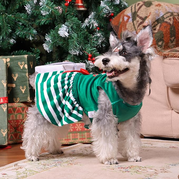 CuteBone Elf Dog Dresses Velvet Holiday Small Dogs Clothes Onesie Pet Apparel Girl Puppy Skirt with Bow Hair Rope CVA55L-D
