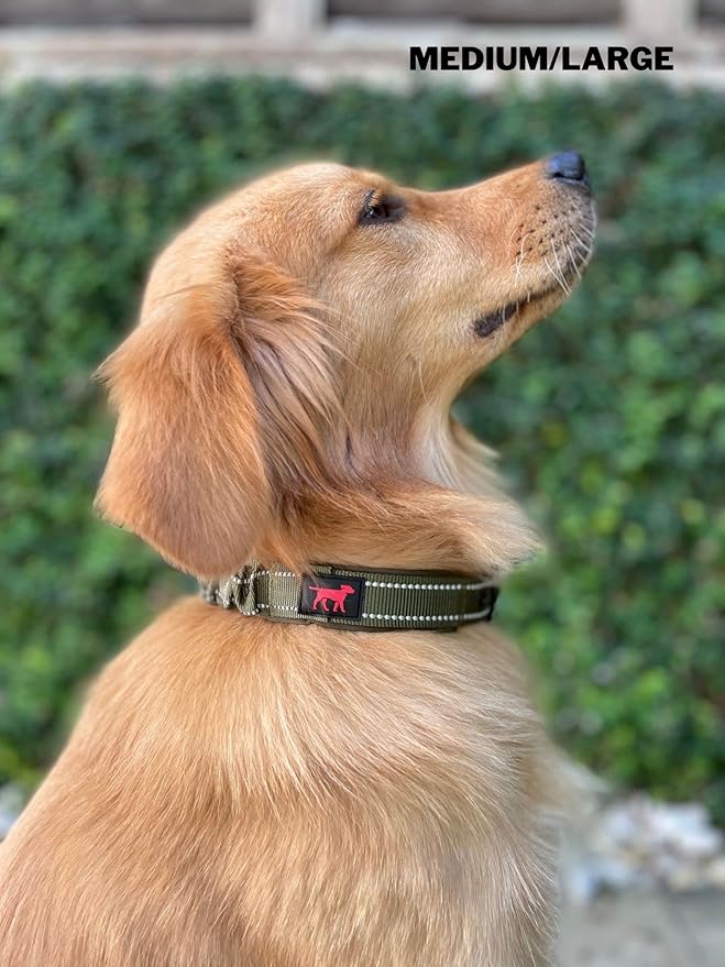 Heavy Duty Dog Collar With Handle | Ballistic Nylon Heavy Duty Collar | Padded Reflective Dog Collar With Adjustable Stainless Steel Hardware | Convenient Sizing for All Breeds