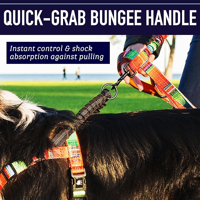 Leash Boss No Pull Dog Harness, Easy Walk for Small, Medium, and Large Pets, Reflective with Rear and Front Clip Attachment (Space Pattern, Extra Large)