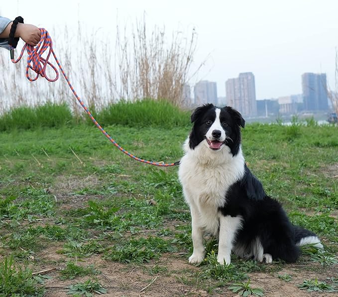 NTR Long Dog Leash, 20FT Check Cord with Swivel Lockable Hook and Comfortable Padded Handle for Reflective Dog Leash for Small Medium and Large Dogs Walking Training Hiking Camping Playing