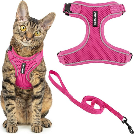 Voyager Escape Proof Cat Harness and Leash Set with Reflective Stitching, Neoprene Handle 5ft - Supports Small, Medium and Large Cats, Kittens for Walking by Best Pet Supplies - Fuchsia, XXXS