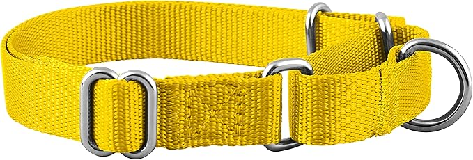 Native Pup Martingale Dog Collar, Adjustable for Small, Medium, Large pet and Puppies Accessories, Cute Colors for Male, Female, Boy, Girl, Puppy (Medium, Bright Yellow)