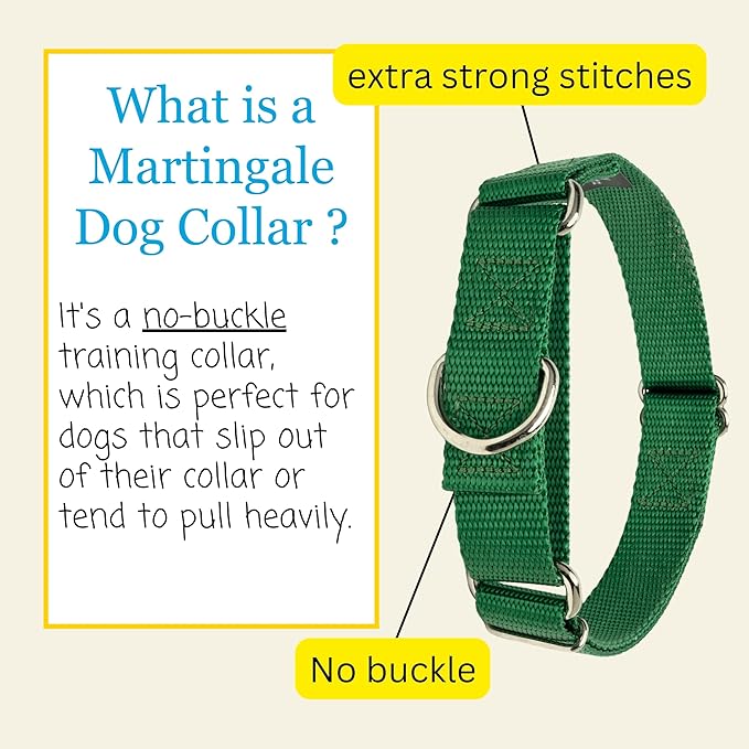 Country Brook Petz Martingale Dog Collar - Heavy-Duty Training Collar with No Buckle - Service Dog Collar for All Pups - Vibrant, Colorful Collection (Christmas Green, 5/8 Inch, Extra Small)