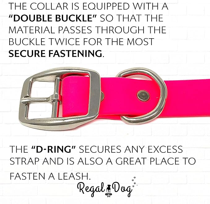 Regal Dog Products Small Pink Waterproof Dog Collar and Leash Set | Heavy Duty Double Buckle & D Ring - 5'ft Leash | Adjustable Biothane Dog Collar | Chew Resistant Waterproof Collar for Dogs