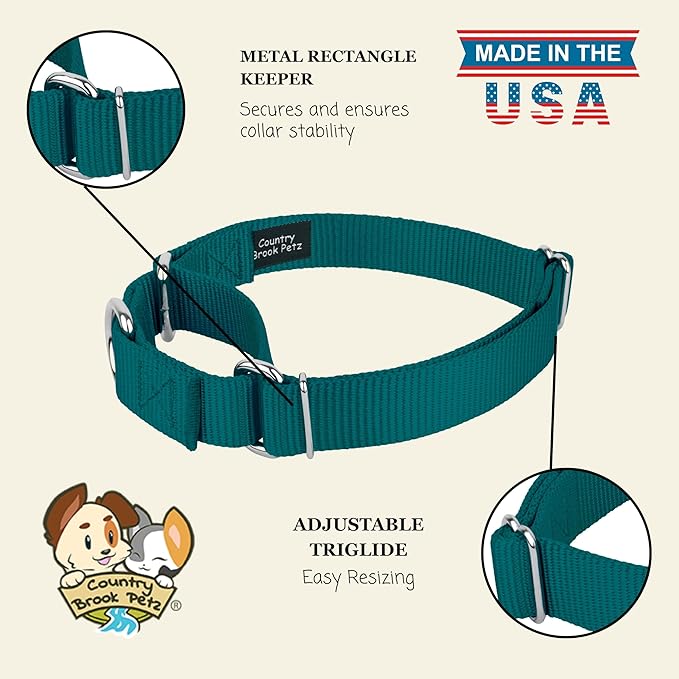 Country Brook Petz Martingale Dog Collar - Heavy-Duty Training Collar with No Buckle - Service Dog Collar for All Pups - Vibrant, Colorful Collection (Teal, 1 Inch, Extra Large)