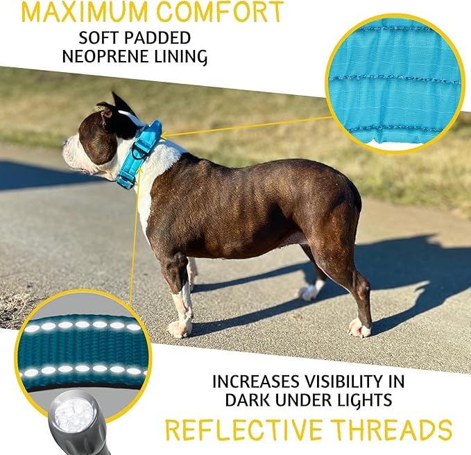 ADITYNA Heavy Duty Dog Collar for Extra-Large Dogs - Reflective Blue Collar with Handle for Training, and Walking - Wide, Thick, Tactical, Soft Neoprene Padded