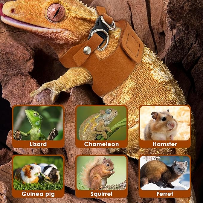 3 Pack Bearded Dragon Harness and Leash Set - Adjustable Soft Leather Lizard Harness 3 Sizes with Leash Small Animal Traction Rope Walking Vest Accessories for Lizards and Other Small Reptiles