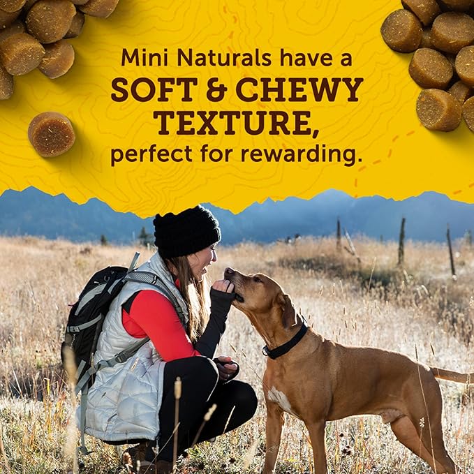 Zuke’s Mini Naturals Dog Training Treats for Dogs of All the Sizes, Pet Treats made with Real Peanut Butter, 16 oz. Resealable Pouch - 16 oz. Bag