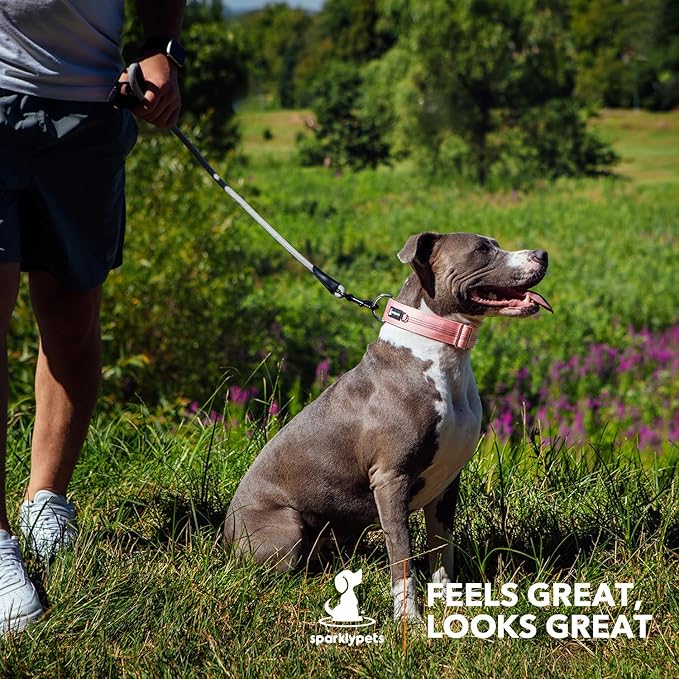 SparklyPets Heavy Duty Wide Dog Collar with Quick Release Chrome Buckle – Thick Tactical Dog Collar with Reflective Stripes & Soft Lining – for Large & Medium Breeds