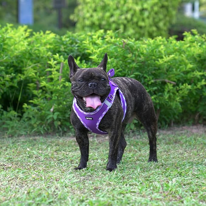 AMTOR Small Dog Harness with Leash Set, No Escape Easy Walk Puppy Harnesses for Training Walking, Step-in Reflective Soft Dogs Vest for XS S Medium Extra-Small Large Sized Dog(Purple,M)