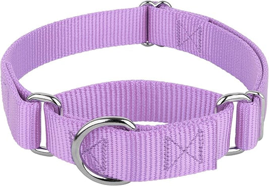 Country Brook Petz Martingale Dog Collar - Heavy-Duty Training Collar with No Buckle - Service Dog Collar for All Pups - Vibrant, Colorful Collection (Lavender, 1 Inch, Medium)