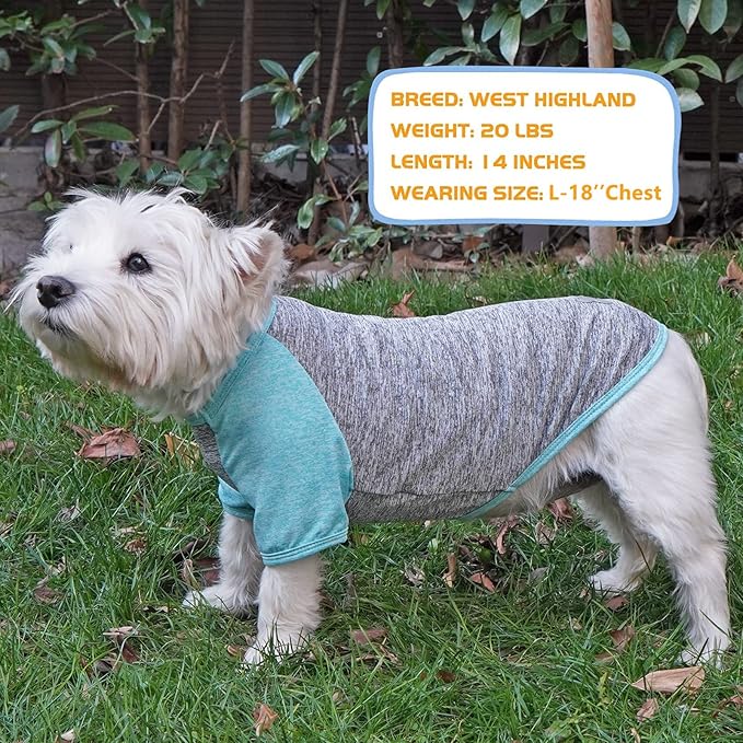 KYEESE 2 Pack Dog Shirts for Large Dogs Quick Dry Breathable Stretchy Dog T-Shirt with Reflective Label Raglan Sleeve Pet Apparel for Large Dogs, Grey+Lake Blue, 3XL