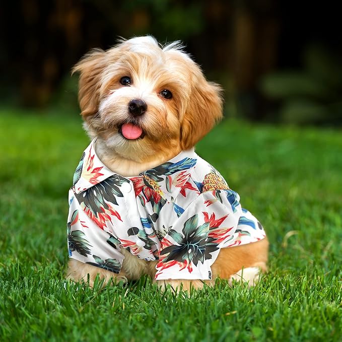 Weewooday 4 Pieces Pet Summer T-Shirts Hawaii Style Floral Pet Dog Shirt Breathable Cool Clothes Beach Seaside Puppy Sweatshirt for Small Puppy(Cute Style,X-Small)