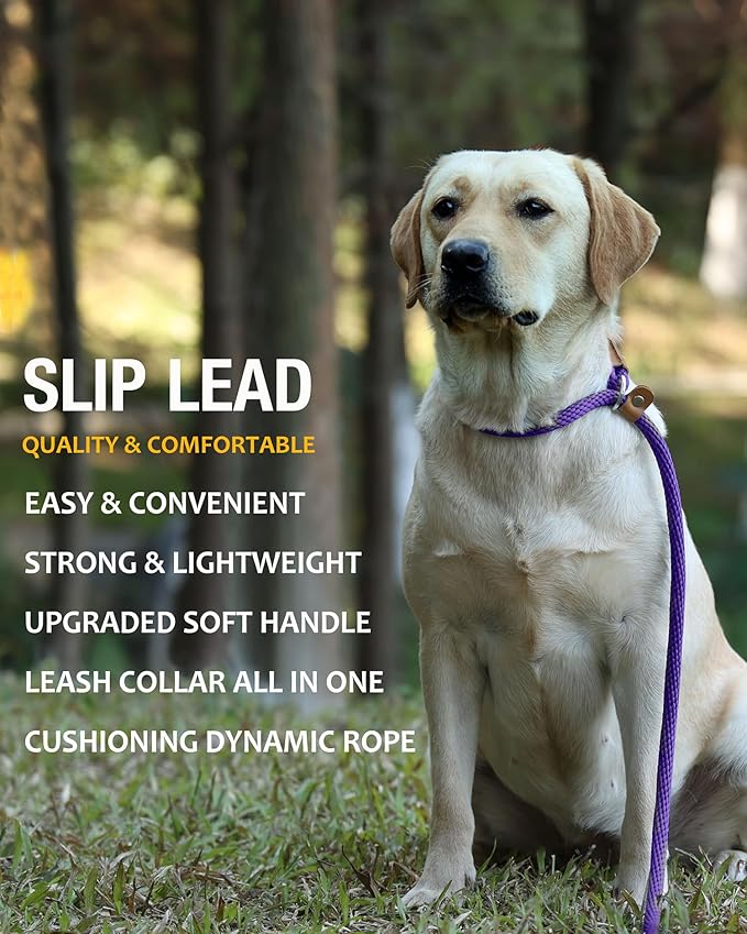 lynxking 6 FT Dog Leash Slip Lead 2 Pack Strong Heavy Duty Braided Dog Training Leash No Pull Training Lead Leashes for Medium Large and Small Dogs