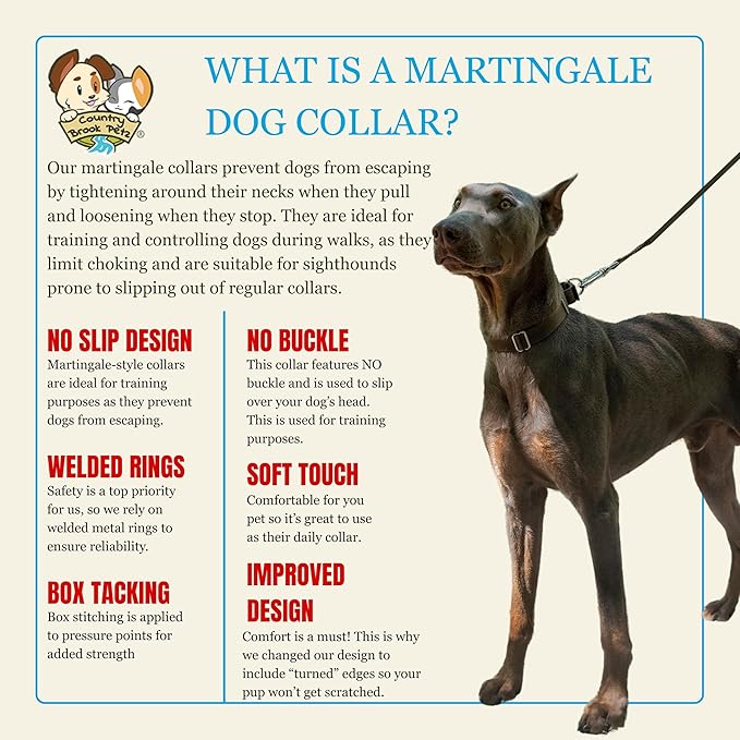 Country Brook Petz Martingale Dog Collar - Heavy-Duty Training Collar with No Buckle - Service Dog Collar for All Pups - Vibrant, Colorful Collection (Brown, 1 Inch, Extra Large)