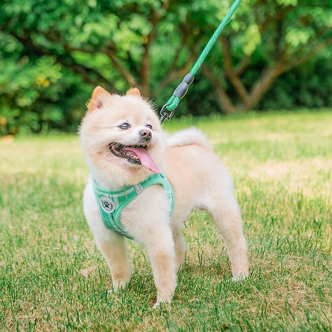 BEAUTYZOO Small Dog Harness and Leash Set,Step in No Choke No Pull Soft Mesh Dog Harnesses Reflective for Extra-Small/Small Medium Puppy Dogs and Cat, Plaid Dog Vest Harness for XS S Pet,Turquoise XXS