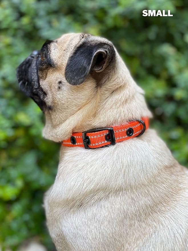 Tuff Pupper Heavy Duty Dog Collar with Handle | Ballistic Nylon Heavy Duty Collar | Padded Reflective Dog Collar with Adjustable Stainless Steel Hardware | Convenient Sizing for All Breeds