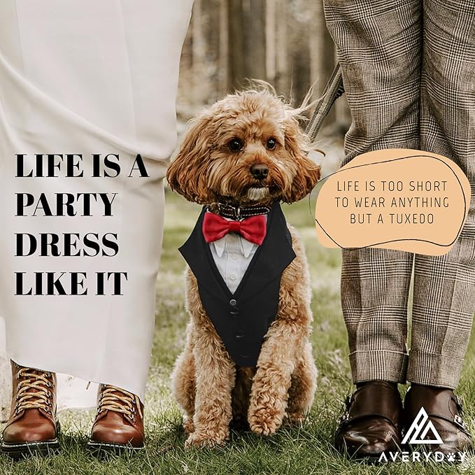 Dog Tuxedo for Wedding Outfit, Dog Suit and Tie Costumes for Birthday, Halloween, Cosplay, Christmas Party, Pet Formal Wear with Bowtie, Tux for Medium Large Dogs, Bulldog, Labrador, Husky