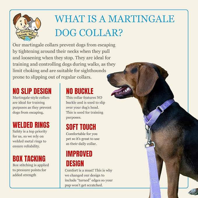 Country Brook Petz Martingale Dog Collar - Heavy-Duty Training Collar with No Buckle - Service Dog Collar for All Pups - Vibrant, Colorful Collection (Lavender, 3/4 Inch, Small)