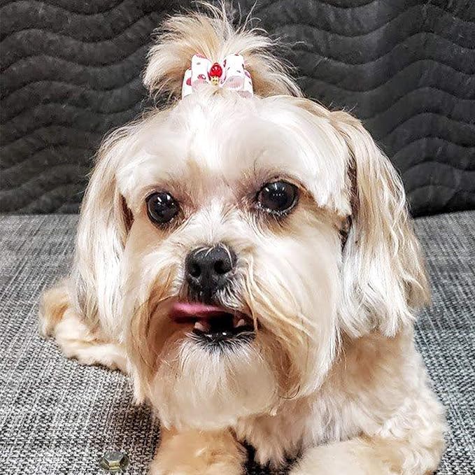 PET SHOW 50pcs Small Dog Hair Bows with Rubber Bands for Medium Dogs Puppies Cats Kittens Rabbits Topknot Grooming Costumes Hair Accessories