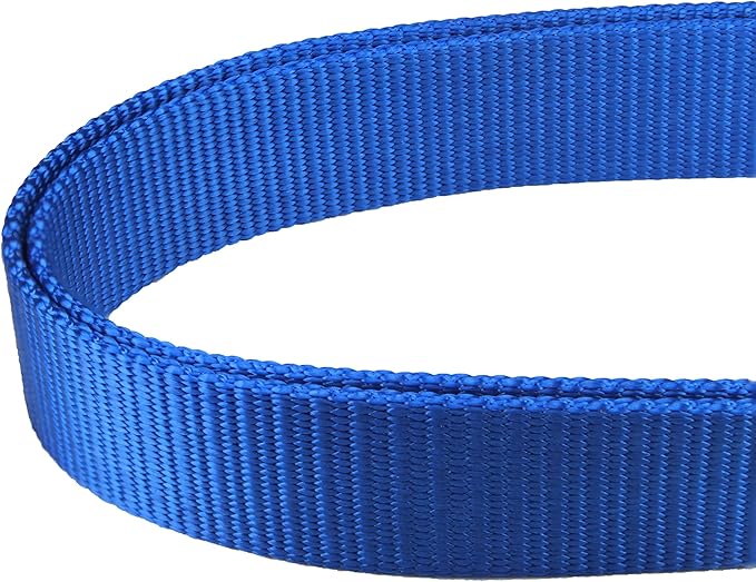 Mikivery Martingale Dog Collar Nylon Adjustable and Safety Training Colourful Comfortable Metal Buckle Pet Collars for Small Medium and Large Dogs(Royal Blue,M)