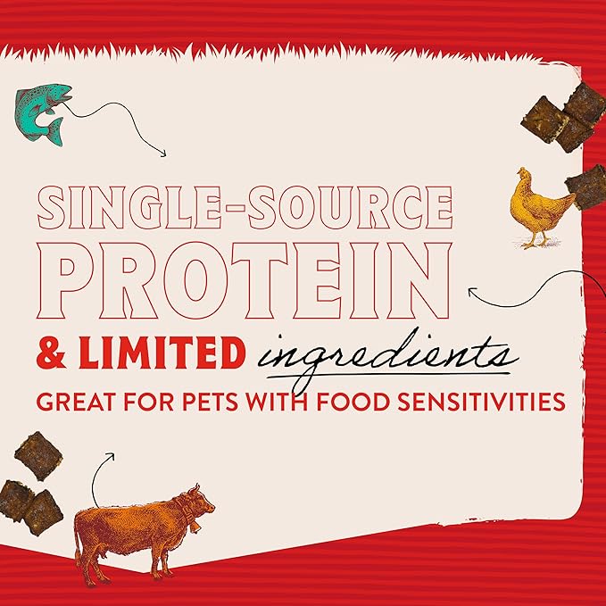 Stella & Chewy's Premium Salmon Jerky Dog Treats - 95% Real Fish Bites for Sensitive Stomachs - Natural Limited Ingredient Treats for Small and Large Dogs - No Grain, Wheat or Soy - 6 oz Bag