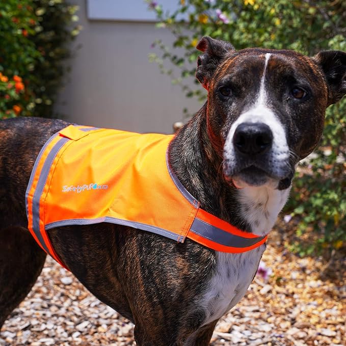 Lite Dog Vest. Coverage to Mid Back. Reflective Hi Visibility Blaze Orange Fluorescent Fabric Helps to Keep Them in Sight and Safe On and Off Leash.