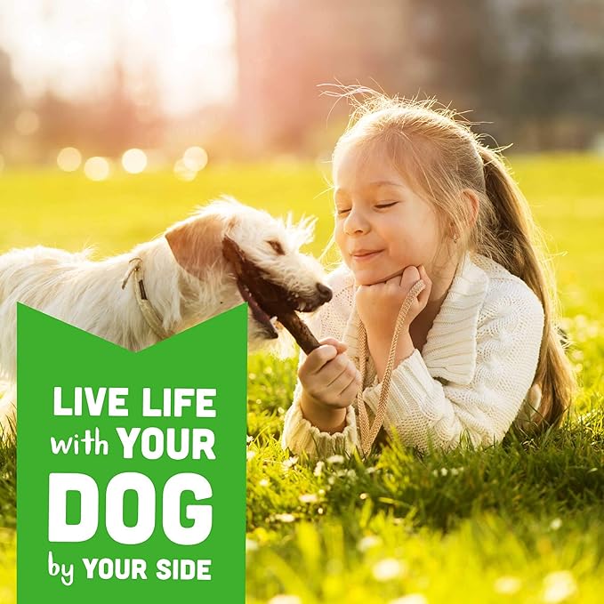 Cloud Star Wag More Bark Less Soft Chews Grain Free Dog Treats, Chicken & Sweet Potato, 5 oz. Pouch