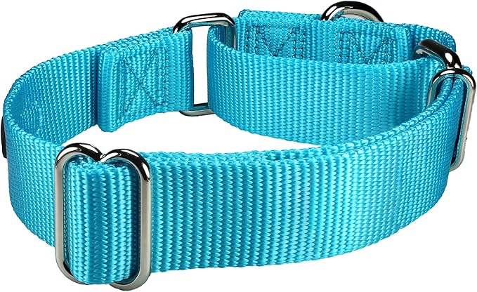 Mikivery Martingale Dog Collar Nylon Adjustable and Safety Training Colourful Comfortable Metal Buckle Pet Collars for Small Medium and Large Dogs(Ice Blue,M)