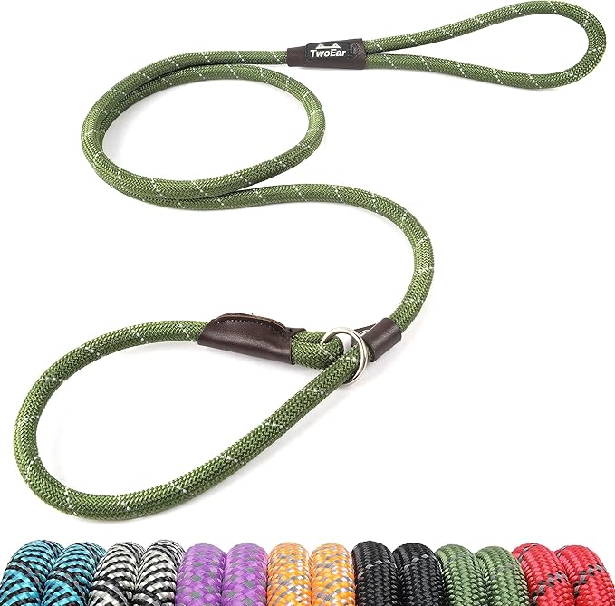 TwoEar Slip Leads for Dogs, 1/2" x 6FT Dog Training Leash with Highly Reflective Threads, Heavy Duty Strong Dog Leash Rope for Small Medium and Large Dogs (Green)