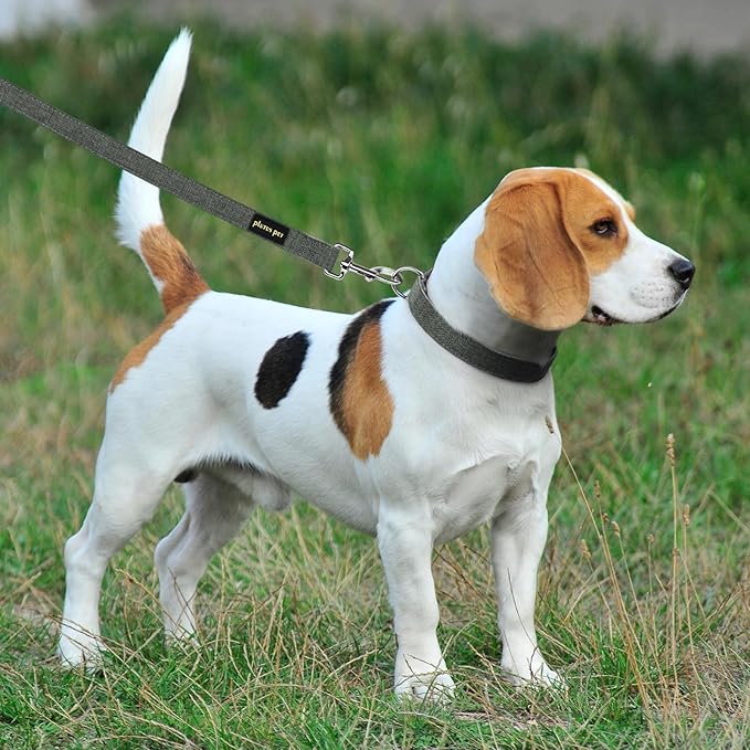 Plutus Pet Cotton Hemp Dog Collar and Leash Set, Adjustable Collar for Small, Medium, and Large Dogs, Heavy Duty and Soft on Skin, Gray, XL