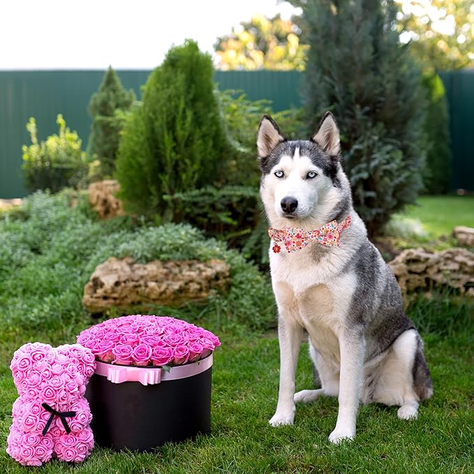 ADOGGYGO Floral Dog Collar with Bow, Metal Buckle, Adjustable Red Pink Pet Flower Collar for Extra Large Dogs (X-Large)