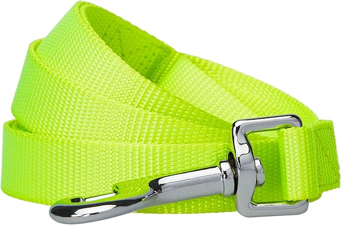 Blueberry Pet Essentials Durable Classic Dog Leash | Basic Nylon Dog Leash | 5ft. x 3/4" Medium Dog Leash | Highlighter Yellow Dog Leash | Standard Dog Leashes & Lightweight Dog Leash for Training