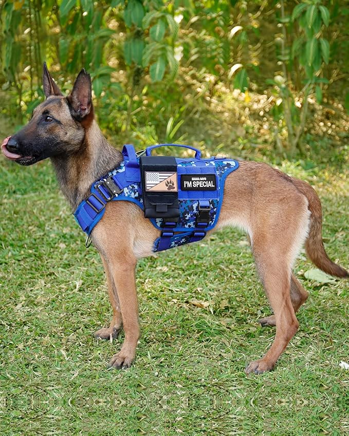 Tactical Dog Harness - PETNANNY Dog Harness Service Dog Vest for Large Breed Dog, Hook and Loop Panel for Service Dog Patchs, Work Dog MOLLE Vest with Handle for Walking Hiking Training(Navy Blue,M)