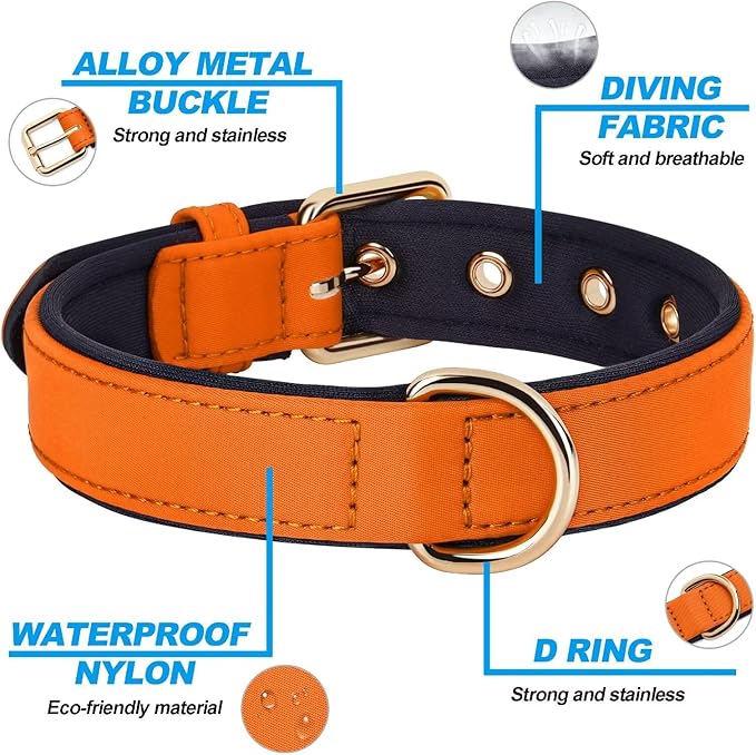 Didog Soft Padded Dog Collars for Medium Dogs, Lightweight and Breathable Dog Collar Waterproof with Metal Buckle, Orange, M