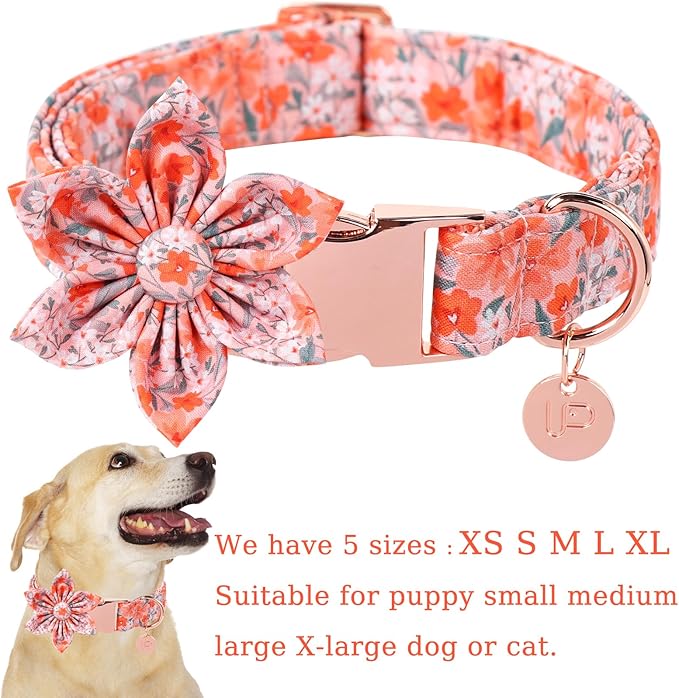 Dog Collar with Flower, UP URARA PUP Cute Orange Flower Dog Bowtie Collar, Detachable Flower Bow Puppy Collar with Metal Buckle for Dogs,S