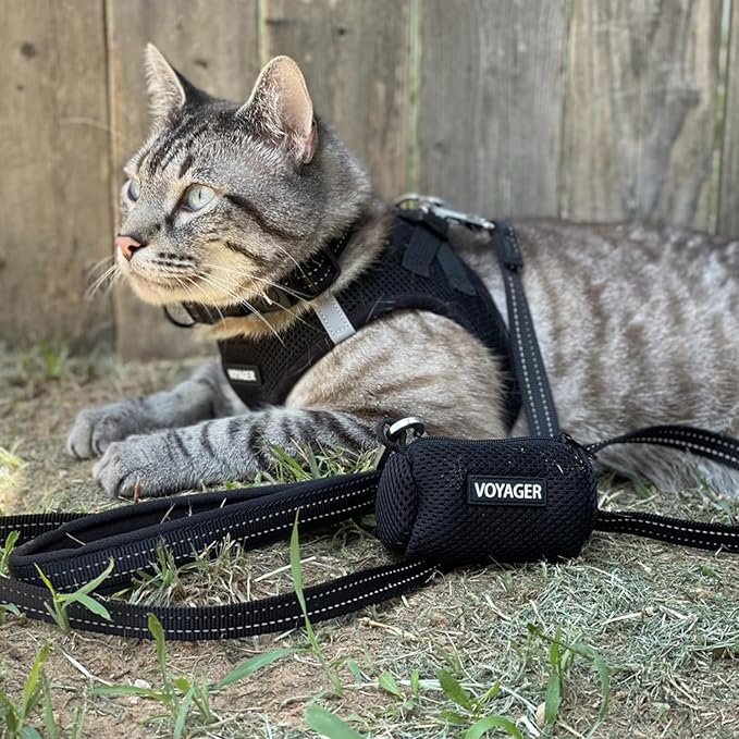 Voyager Step-in Air Cat Harness - All Weather Mesh Step in Vest Harness for Small and Medium Cats by Best Pet Supplies - Set (Black), XXXS
