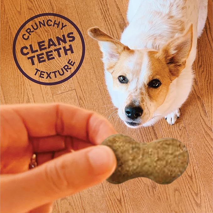 Wellness Old Mother Hubbard P-Nutty Dog Biscuits, Natural, Training Treats, Three Flavors, Small Size, (20 Pound Box)