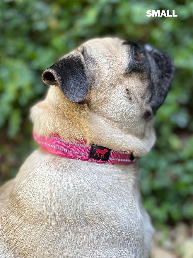 Heavy Duty Dog Collar with Handle | Ballistic Nylon Heavy Duty Collar | Padded Reflective Dog Collar with Adjustable Stainless Steel Hardware | Convenient Sizing for All Breeds