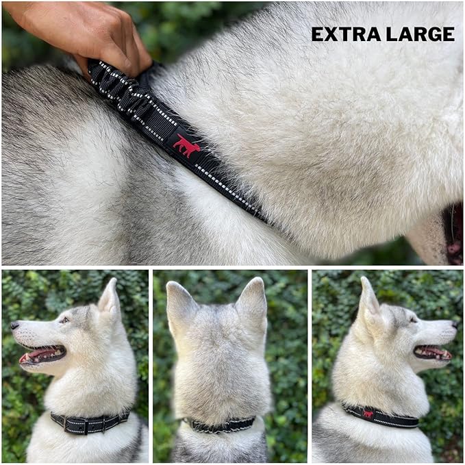 Heavy Duty Dog Collar with Handle | Ballistic Nylon Heavy Duty Collar | Padded Reflective Dog Collar with Adjustable Stainless Steel Hardware | Convenient Sizing for All Breeds X-Large (19-23" Neck)