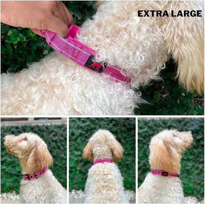 Heavy Duty Dog Collar with Handle | Ballistic Nylon Heavy Duty Collar | Padded Reflective Dog Collar with Adjustable Stainless Steel Hardware | Convenient Sizing for All Breeds X-Large (19-23" Neck)