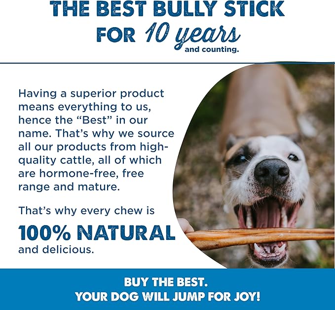 Best Bully Sticks 6 Inch Bully Sticks for Dogs - 5 Count (Pack of 1) - All-Natural, Easily Digestible, 100% Grass-Fed Beef, Grain and Rawhide Free - Trial Size